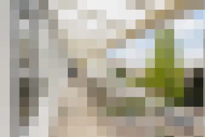 Walenburgerplein 32 Rotterdam thumbnail 5