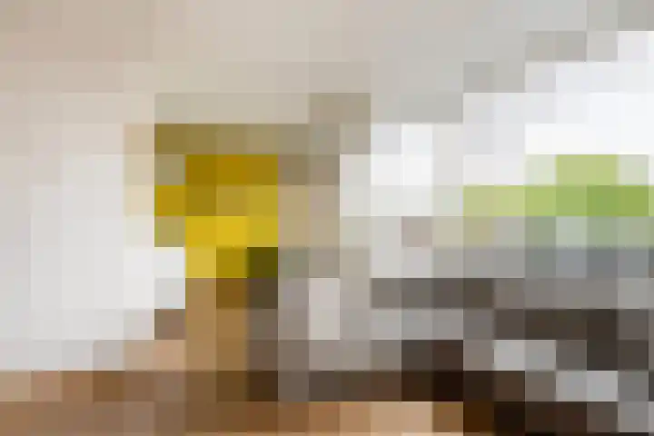 Walenburgerplein 32 Rotterdam thumbnail 9
