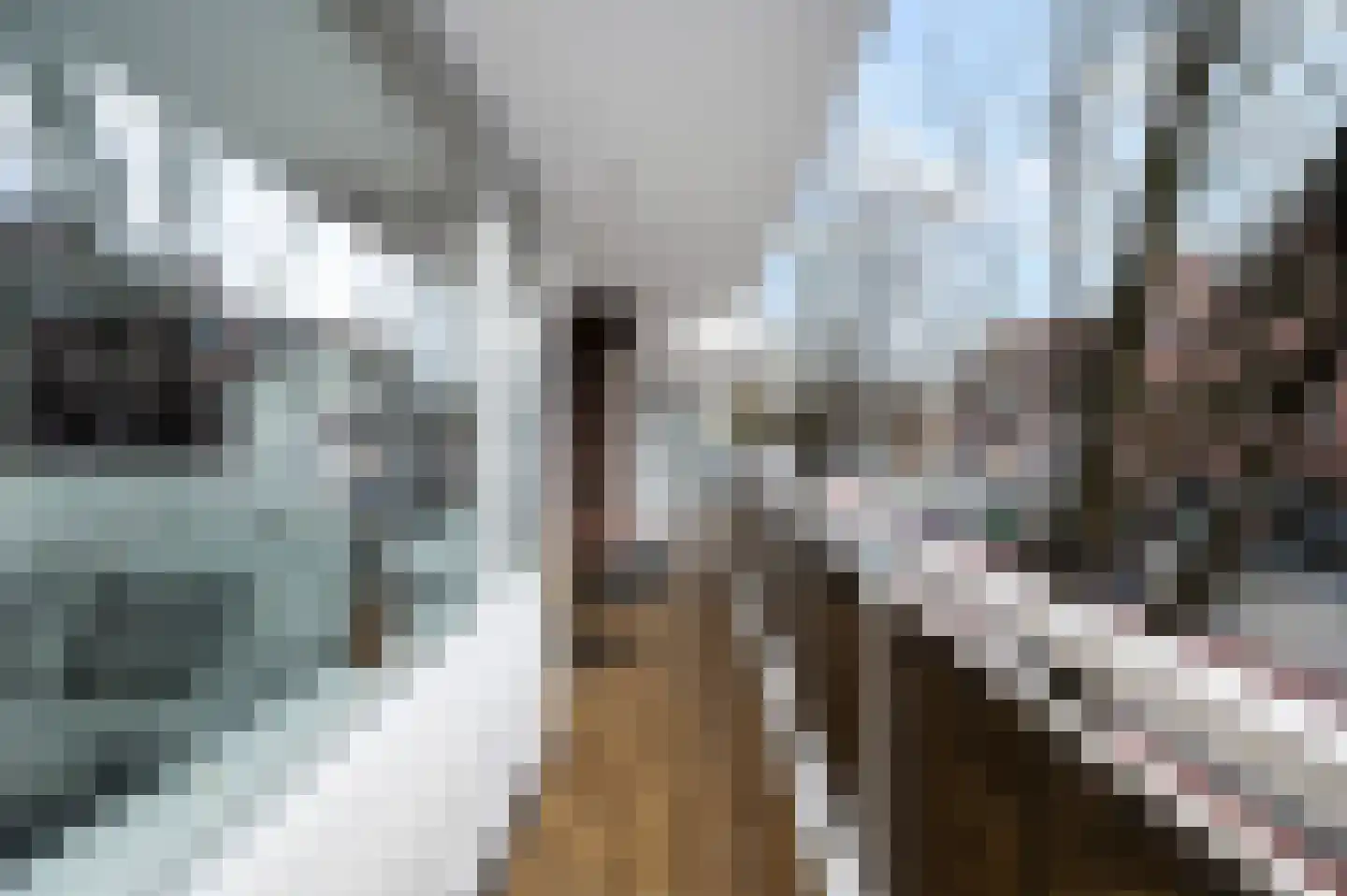 Walenburgerplein 4 Rotterdam thumbnail 10