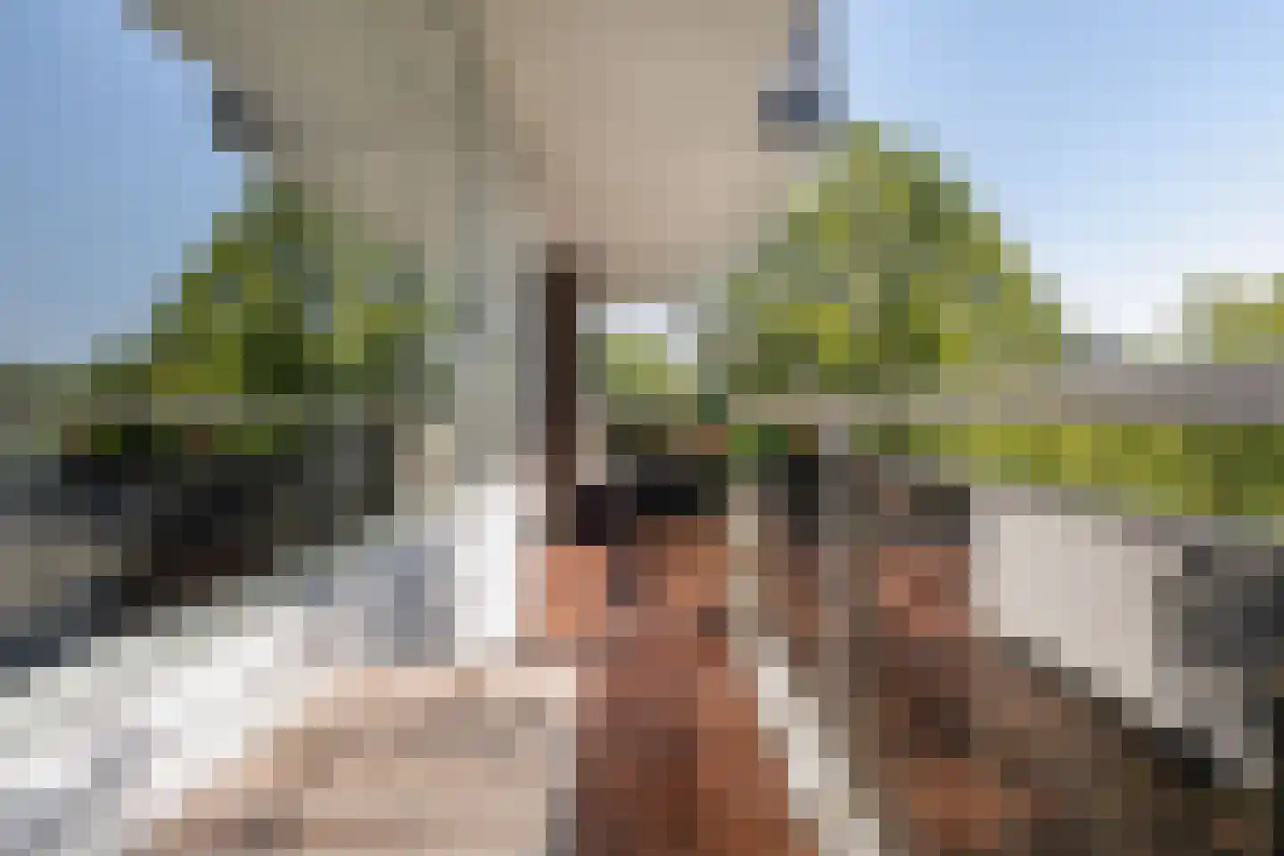 Walenburgerplein 68 Rotterdam thumbnail 15