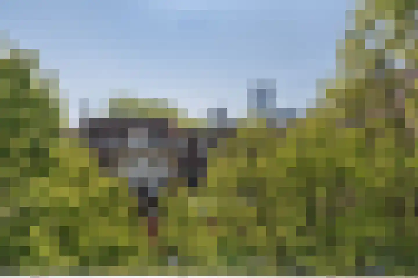 Walenburgerplein 68 Rotterdam thumbnail 17