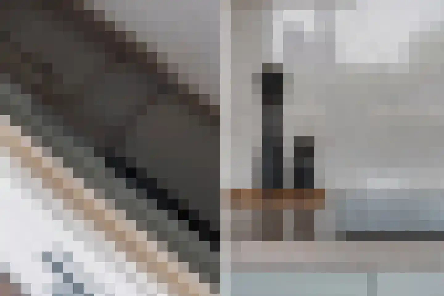 Walenburgerplein 68 Rotterdam thumbnail 9