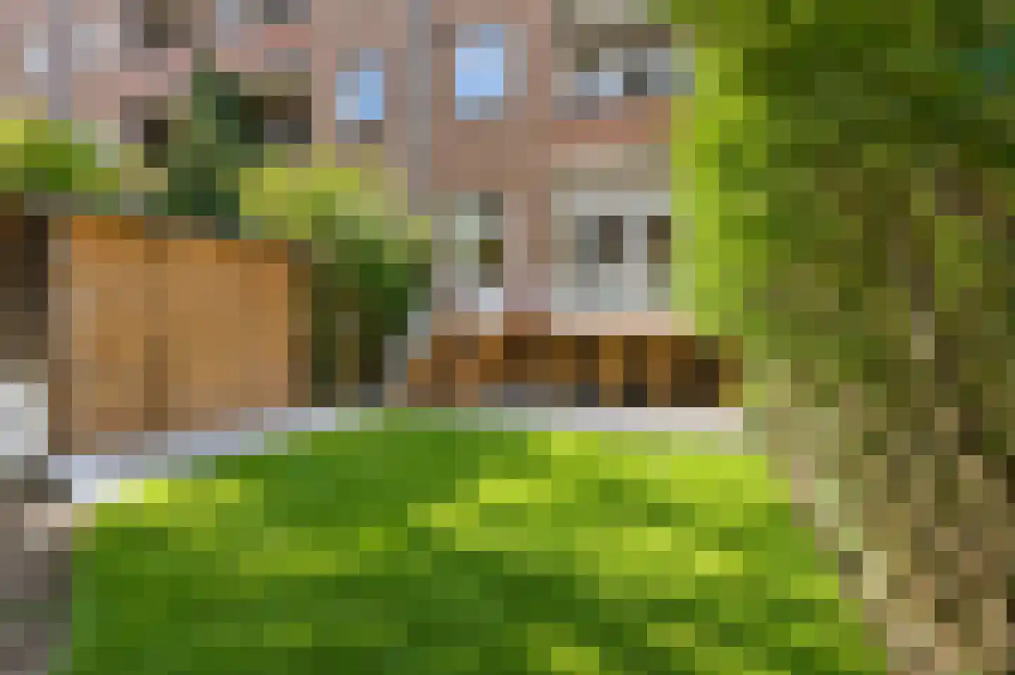 Walenburgerweg 100 A Rotterdam thumbnail 13