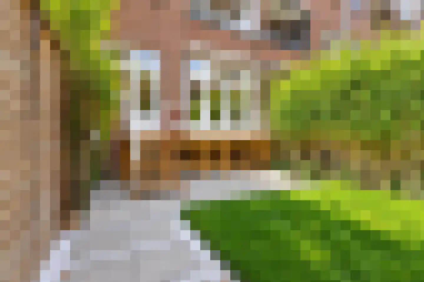 Walenburgerweg 100 A Rotterdam thumbnail 14