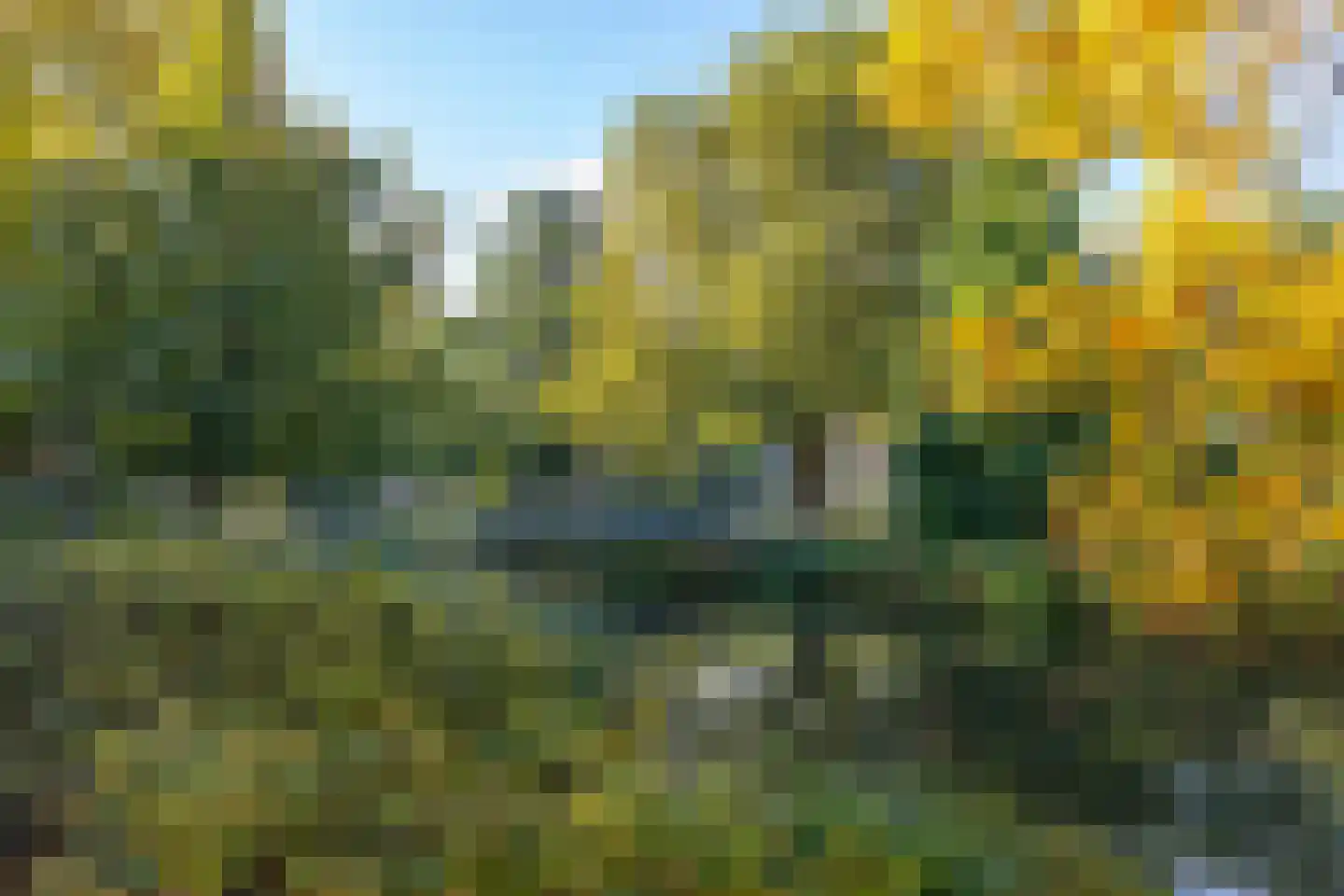 Walenburgerweg 105 B 01 Rotterdam thumbnail 45