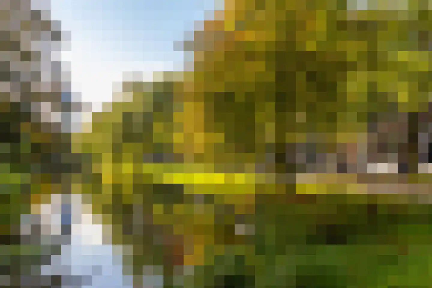 Walenburgerweg 105 B 01 Rotterdam thumbnail 46