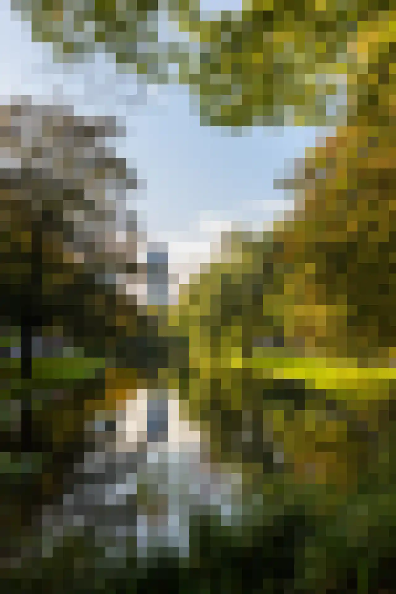 Walenburgerweg 105 B 01 Rotterdam thumbnail 6