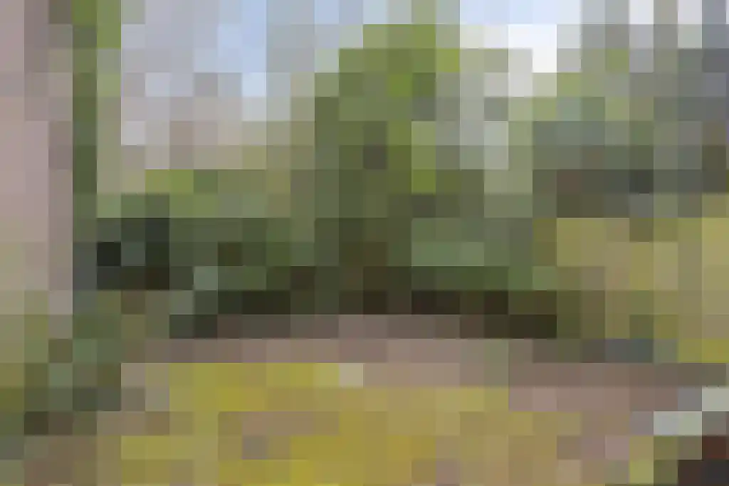 Walenburgerweg 18 A Rotterdam thumbnail 13