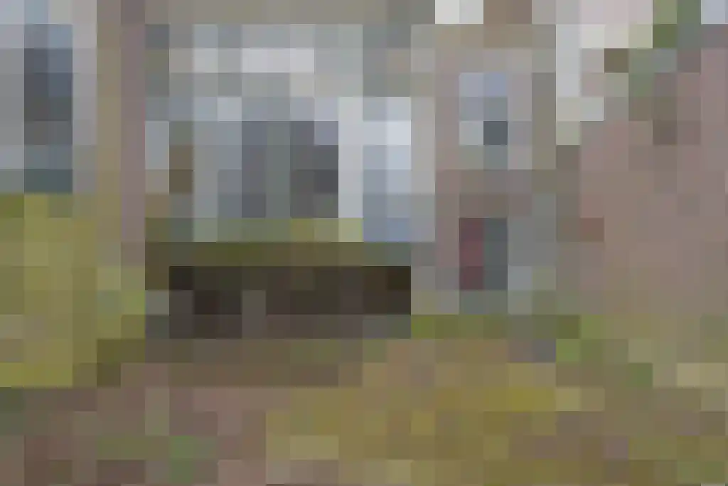 Walenburgerweg 18 A Rotterdam thumbnail 14