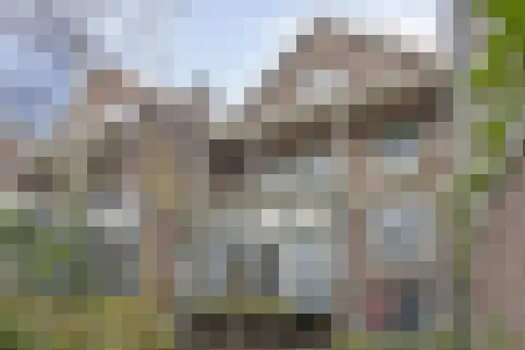 Walenburgerweg 18 A Rotterdam thumbnail 15