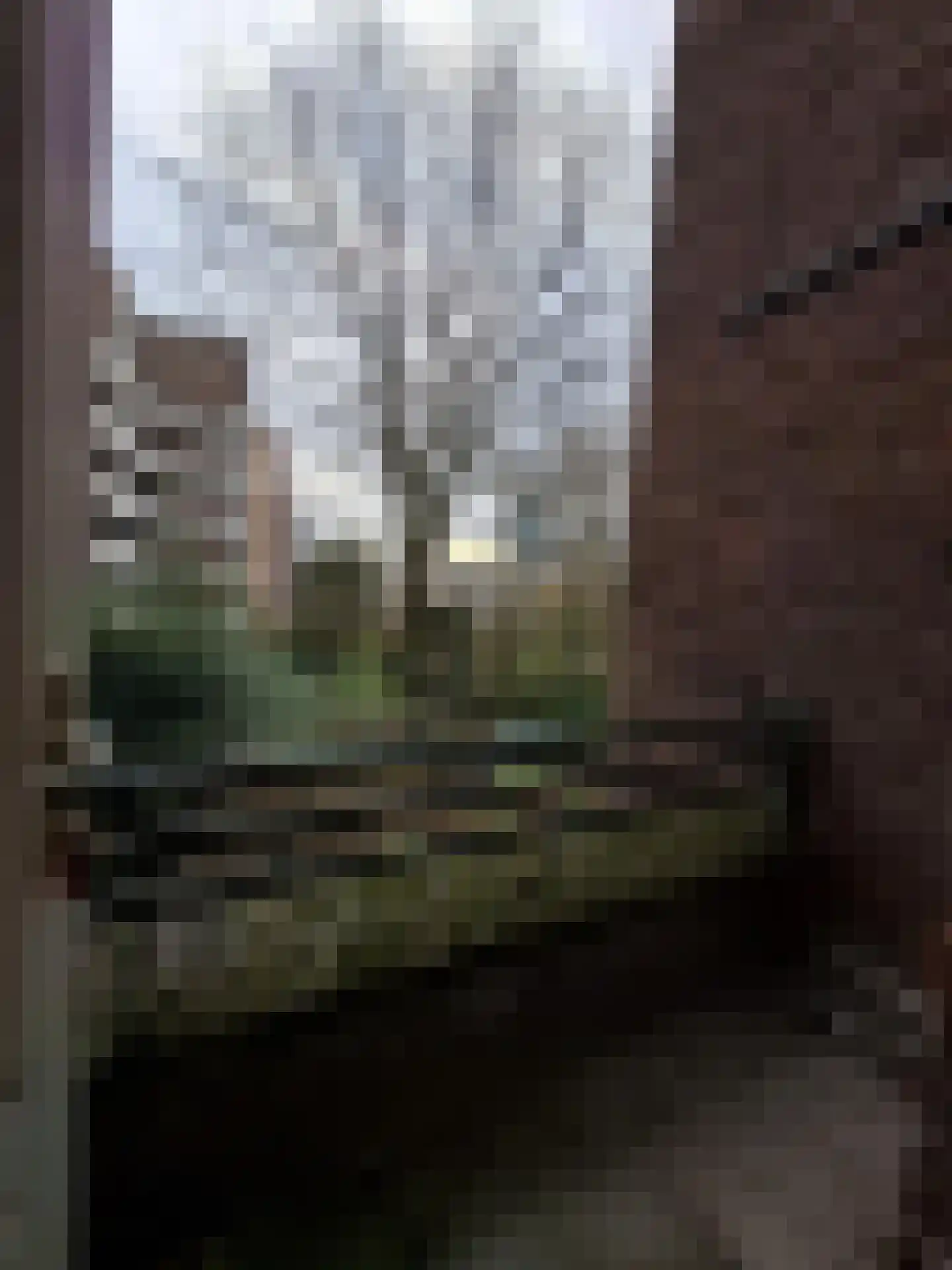 Walenburgerweg 4 B Rotterdam thumbnail 11