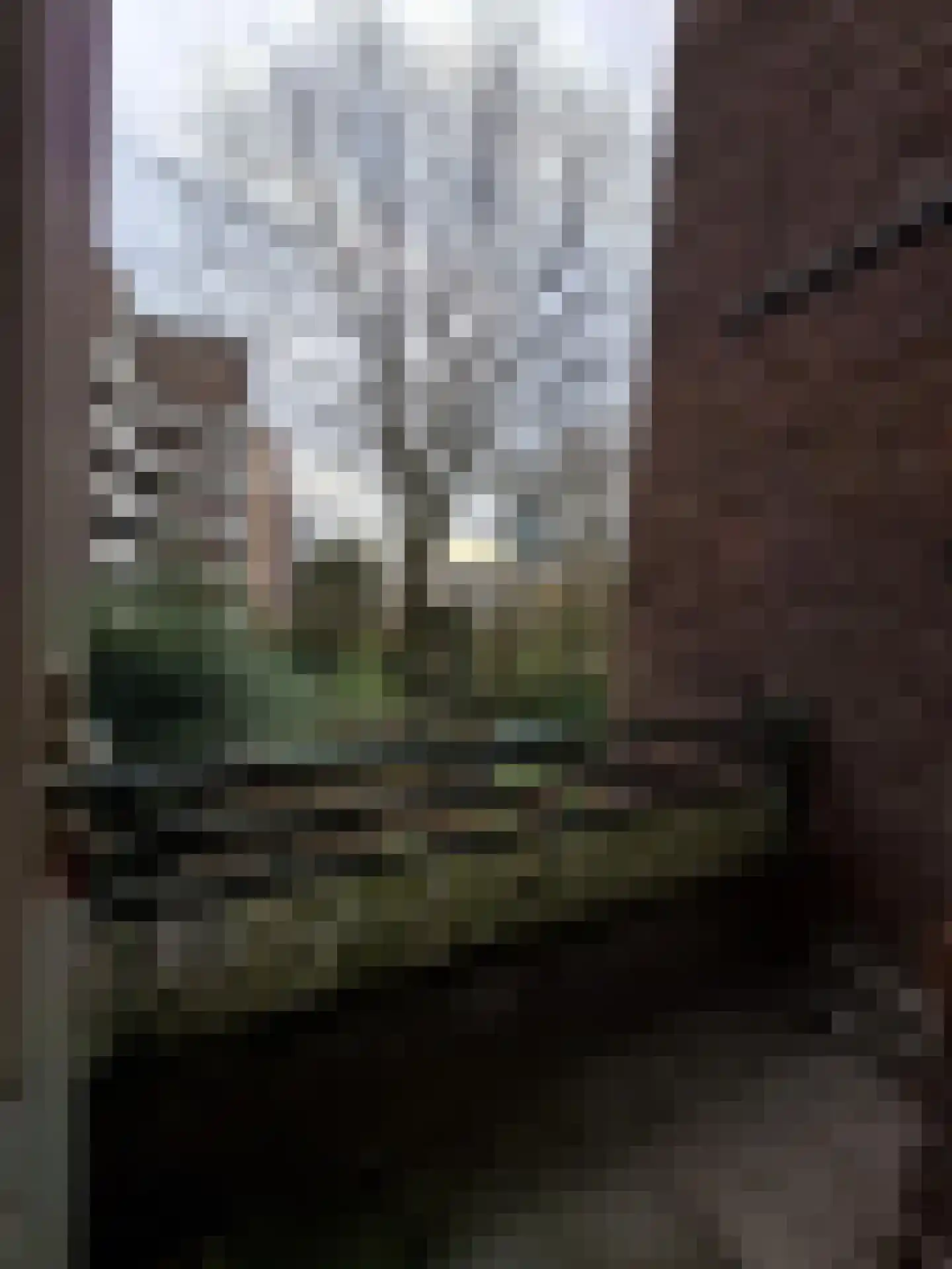 Walenburgerweg 4 B Rotterdam thumbnail 11