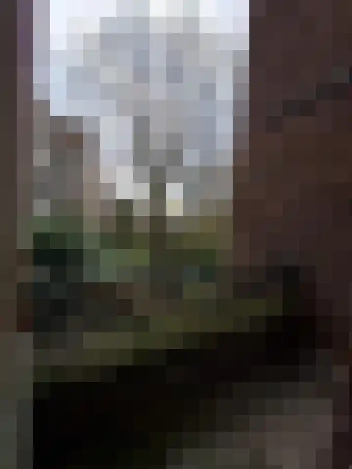 Walenburgerweg 4 C 03 Rotterdam thumbnail 11