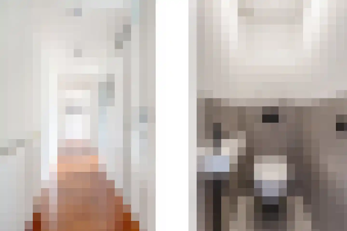 Walenburgerweg 43 D Rotterdam thumbnail 26