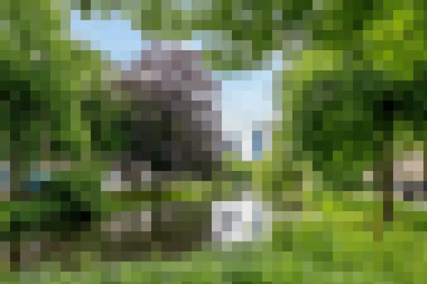 Walenburgerweg 43 D Rotterdam thumbnail 33