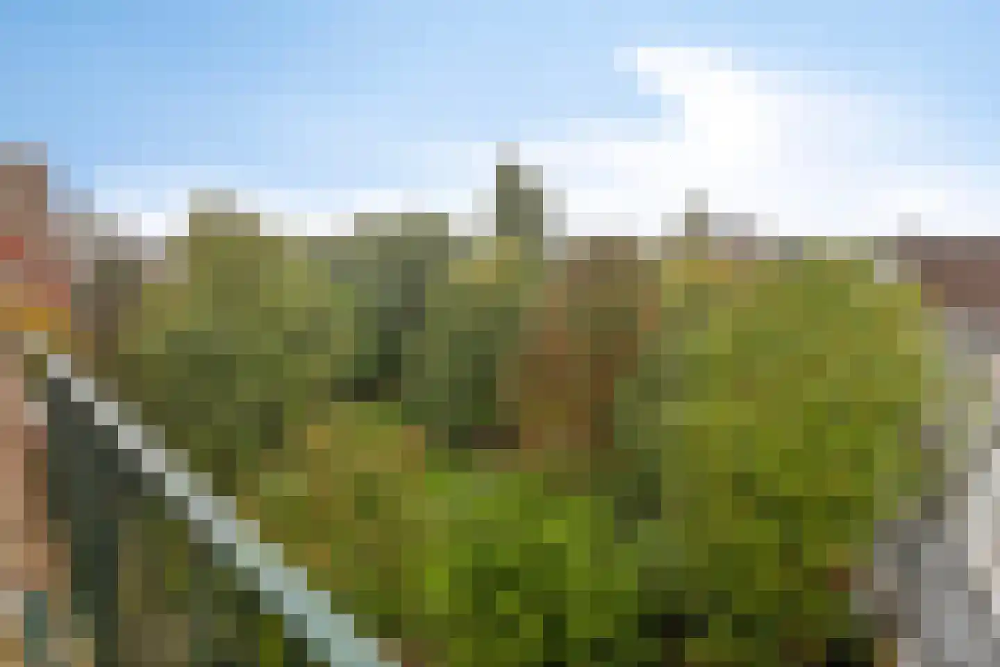 Walenburgerweg 5 C Rotterdam thumbnail 16