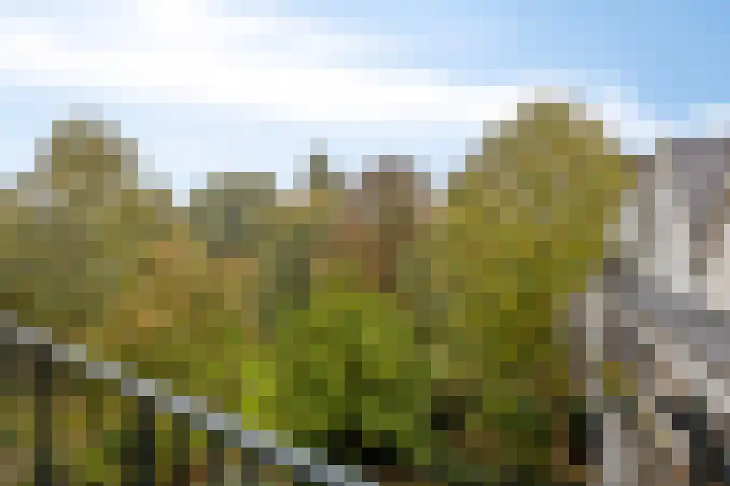 Walenburgerweg 5 C Rotterdam thumbnail 7