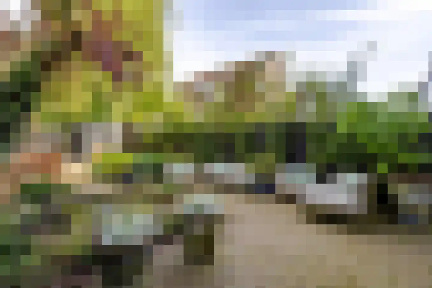 Walenburgerweg 71 Rotterdam thumbnail 21
