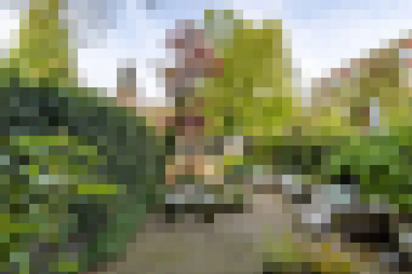 Walenburgerweg 71 Rotterdam thumbnail 5