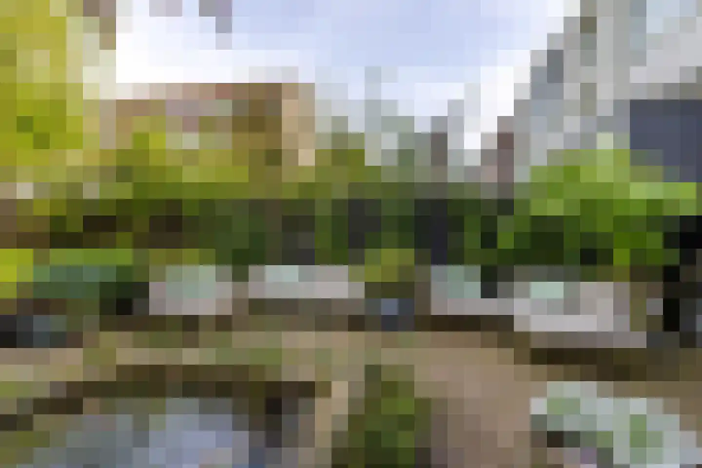 Walenburgerweg 71 Rotterdam thumbnail 61