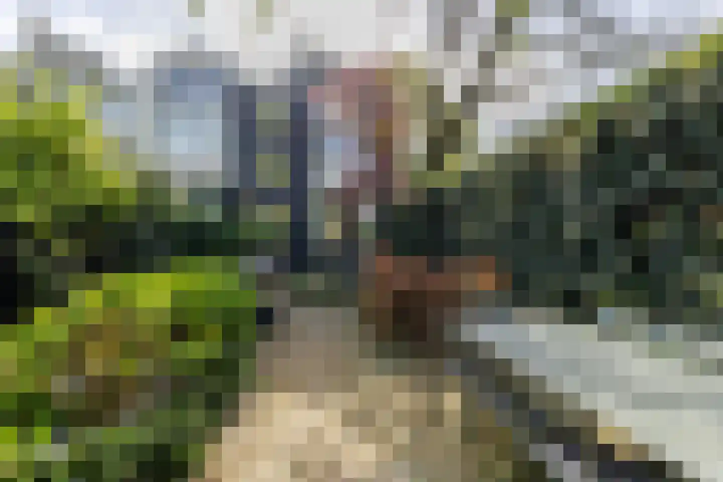 Walenburgerweg 71 Rotterdam thumbnail 63