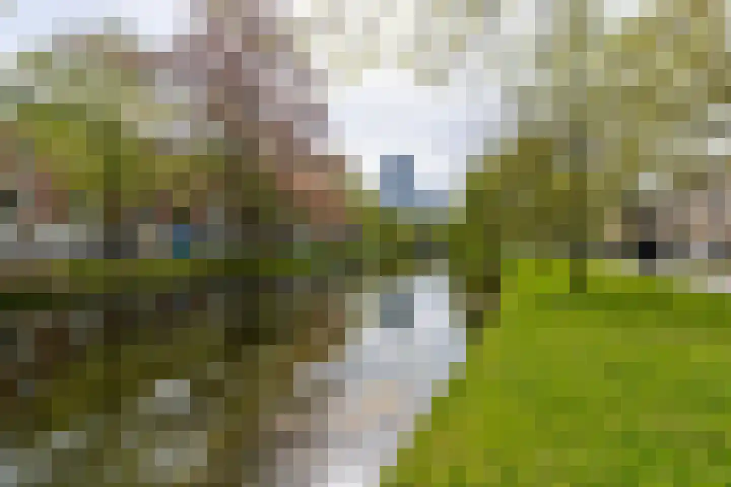 Walenburgerweg 71 Rotterdam thumbnail 67