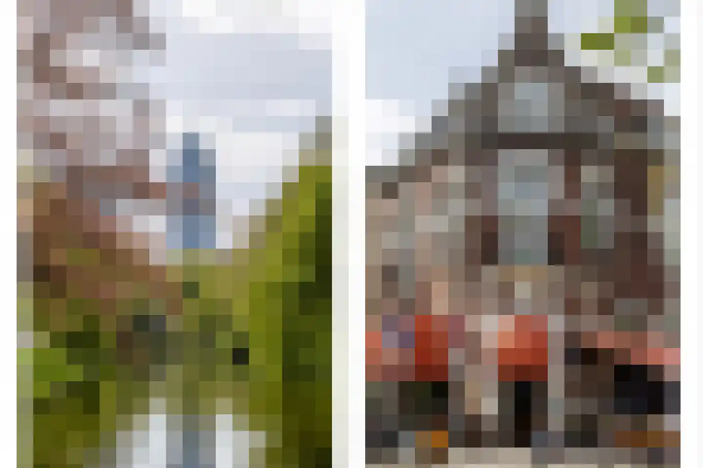 Walenburgerweg 71 Rotterdam thumbnail 68