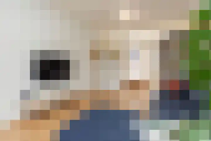 Walenburgerweg 93 A 01 Rotterdam thumbnail 22