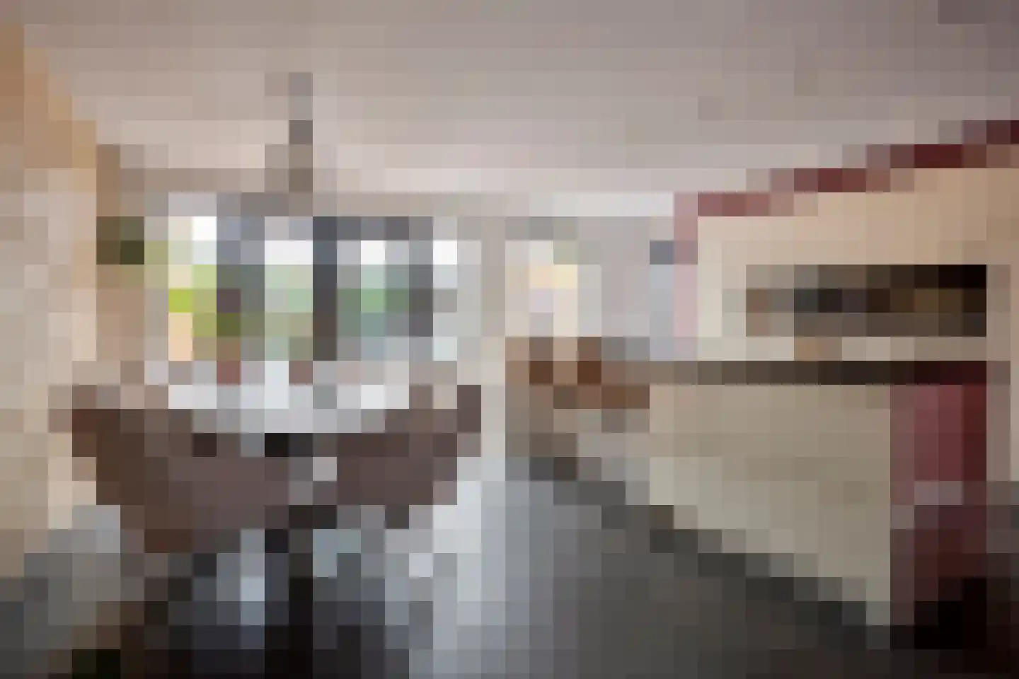 Walenkamp 10 Zevenaar thumbnail 12
