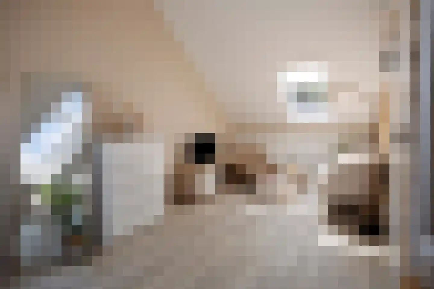 Walenkamp 10 Zevenaar thumbnail 30