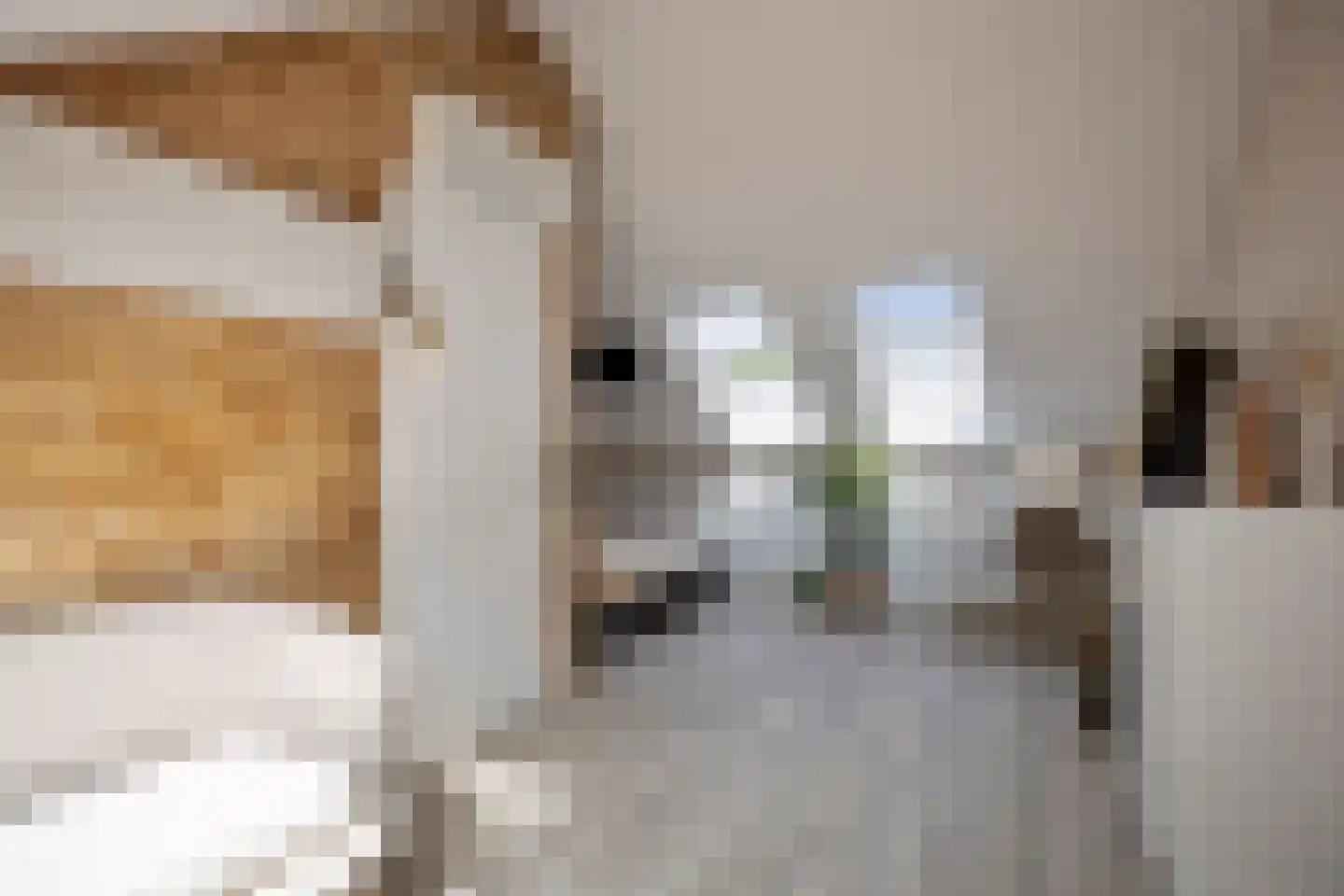 Walenkamp 10 Zevenaar thumbnail 31