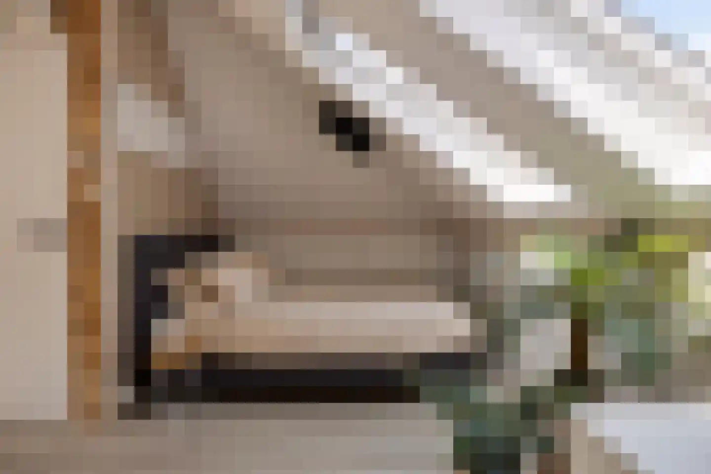 Walenkamp 10 Zevenaar thumbnail 34