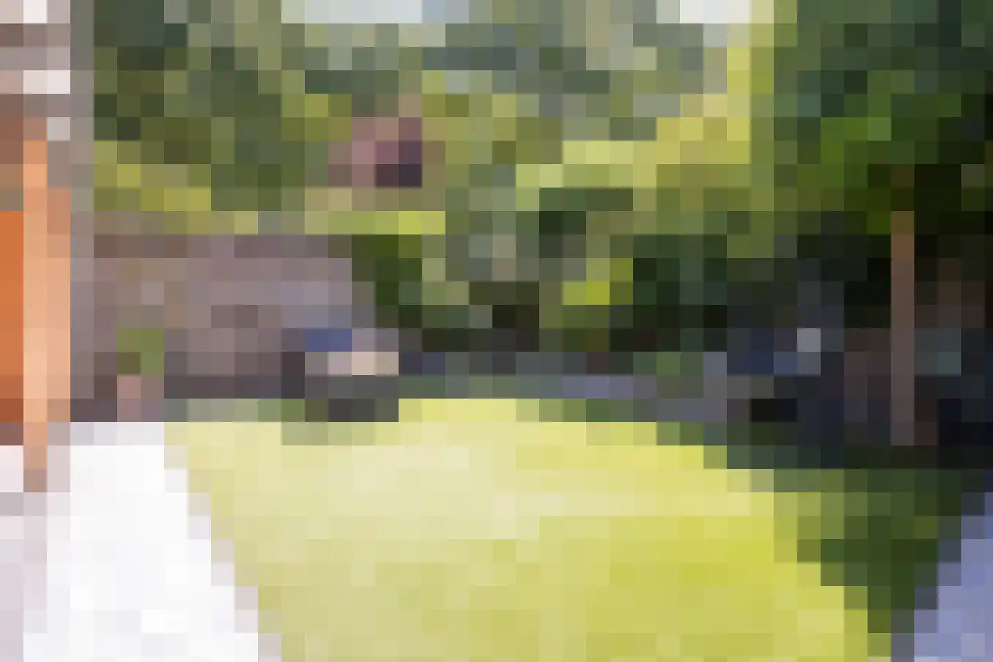 Walenkamp 10 Zevenaar thumbnail 36