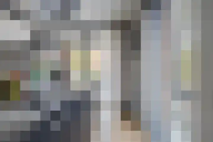 Wales 10 Purmerend thumbnail 13