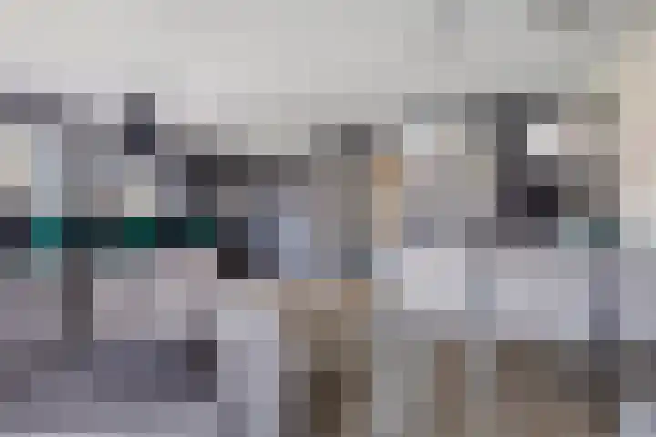 Wales 10 Purmerend thumbnail 17