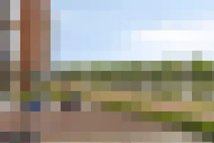 Wales 10 Purmerend thumbnail 36