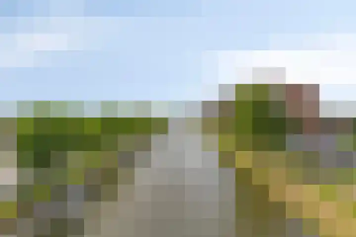 Wales 10 Purmerend thumbnail 40