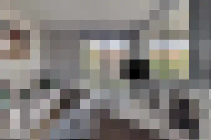 Wales 10 Purmerend thumbnail 7