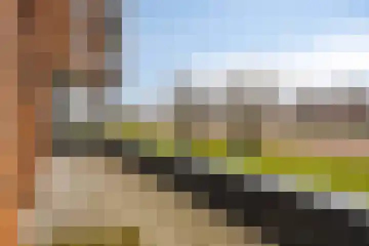 Wales 41 Purmerend thumbnail 29