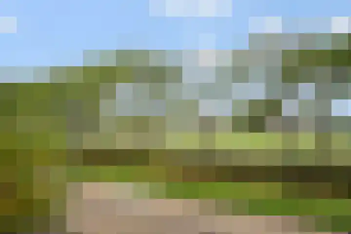 Walessingel 9 Rosmalen thumbnail 47