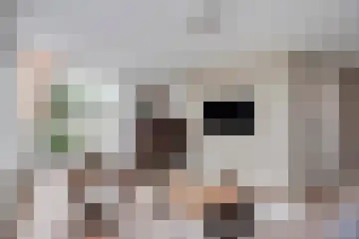 Walessingel 9 Rosmalen thumbnail 7