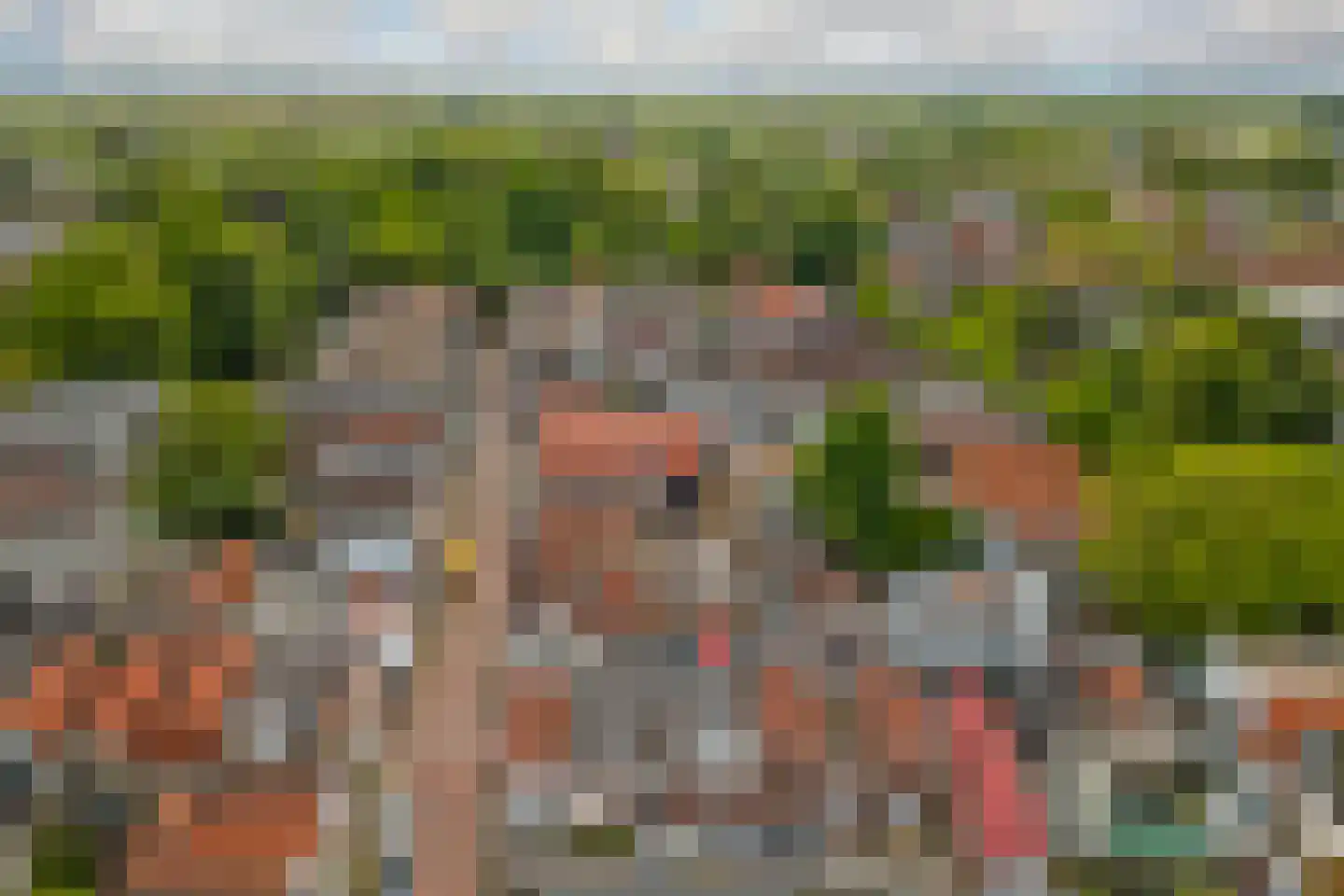 Walestraat 15 Gouda thumbnail 6