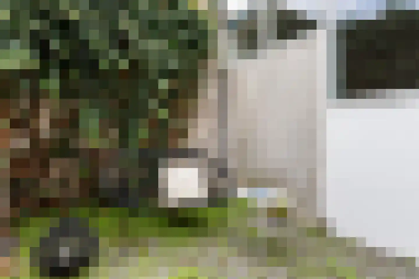 Walestraat 17 Gouda thumbnail 7