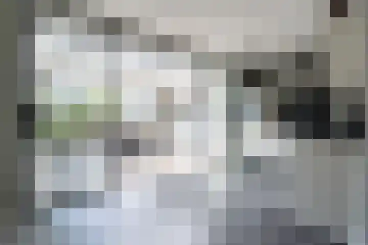 Walestraat 19 Stramproy thumbnail 10