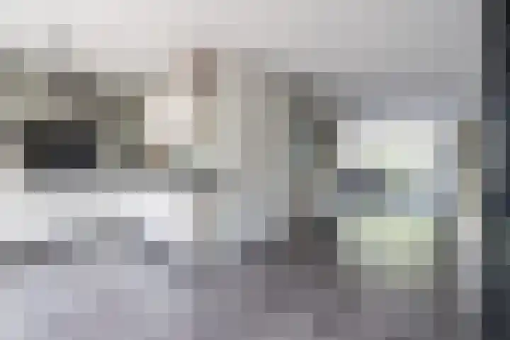 Walestraat 19 Stramproy thumbnail 11