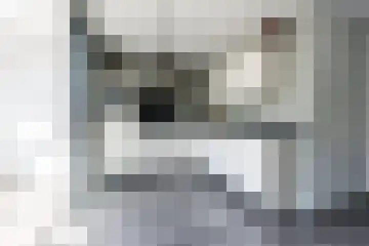 Walestraat 19 Stramproy thumbnail 12
