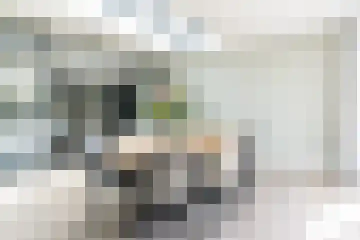 Walestraat 19 Stramproy thumbnail 17