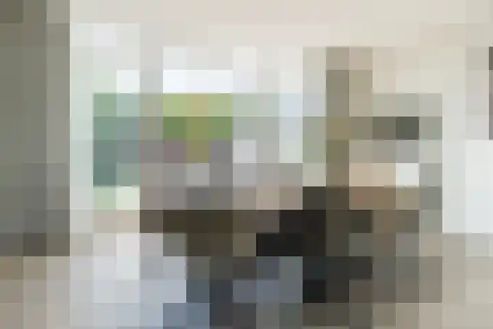 Walestraat 19 Stramproy thumbnail 18