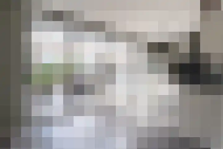 Walestraat 19 Stramproy thumbnail 19