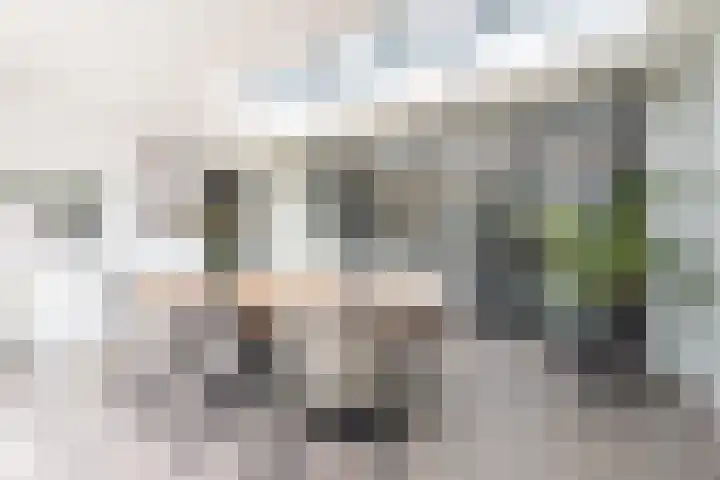 Walestraat 19 Stramproy thumbnail 20